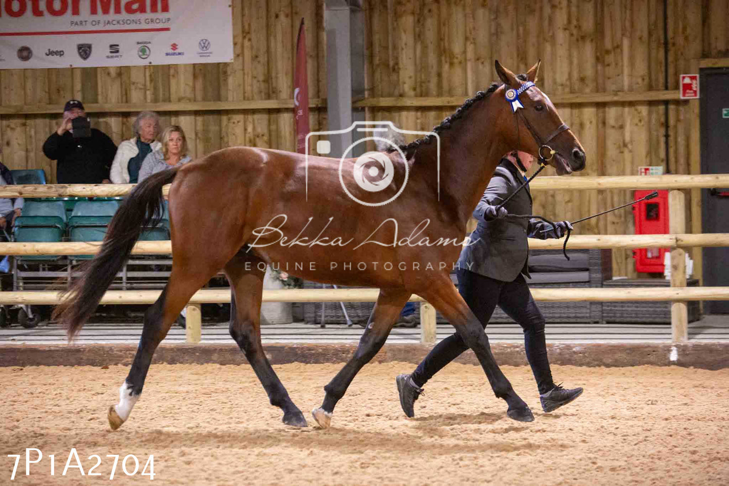 Home Farm Funshine Show 2024 - Inhand Showing 14th September