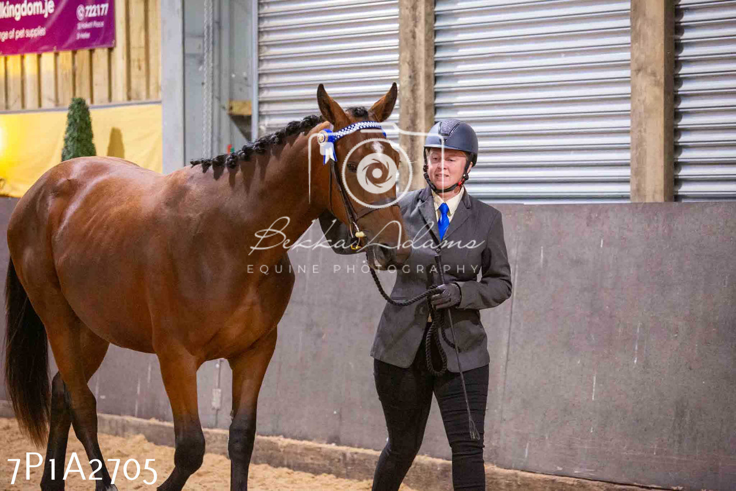 Home Farm Funshine Show 2024 - Inhand Showing 14th September