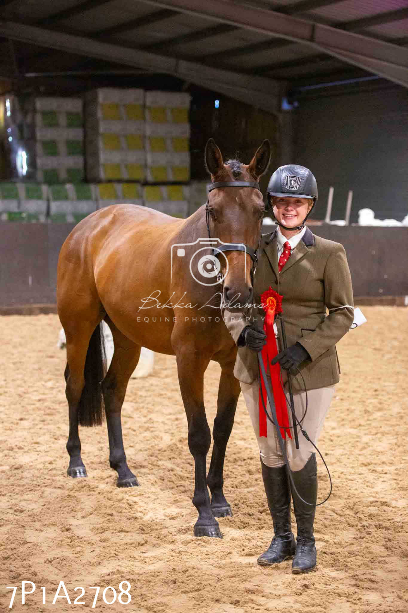 Home Farm Funshine Show 2024 - Inhand Showing 14th September