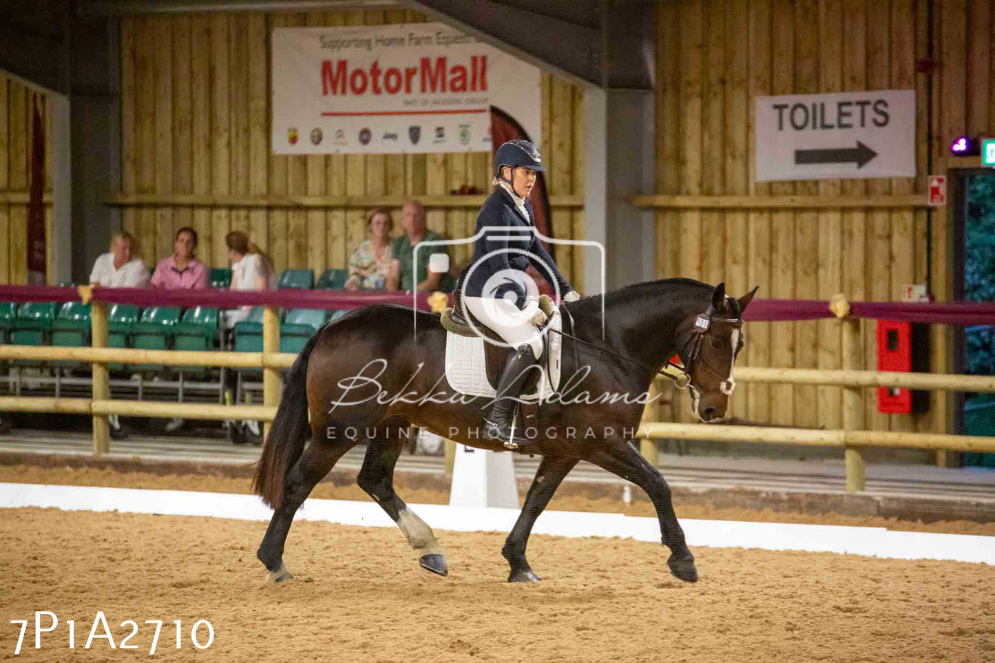 JHOYS 2023 - 6th September - Dressage