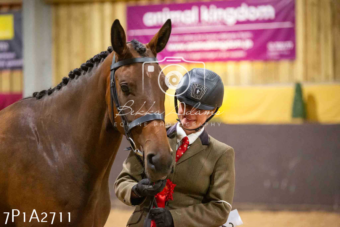 Home Farm Funshine Show 2024 - Inhand Showing 14th September