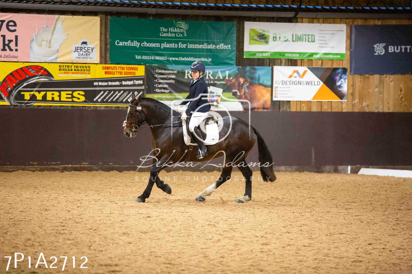 JHOYS 2023 - 6th September - Dressage