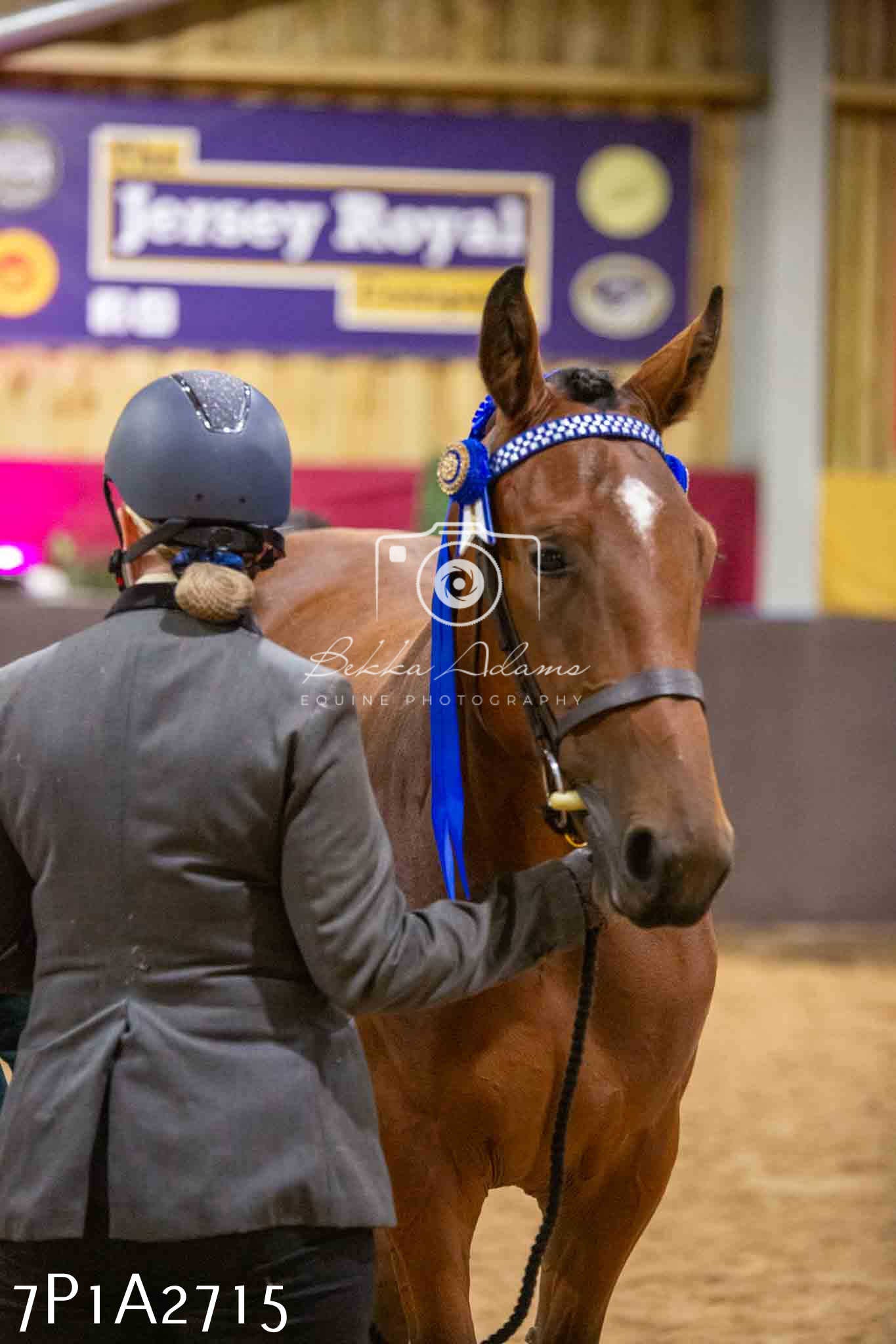 Home Farm Funshine Show 2024 - Inhand Showing 14th September