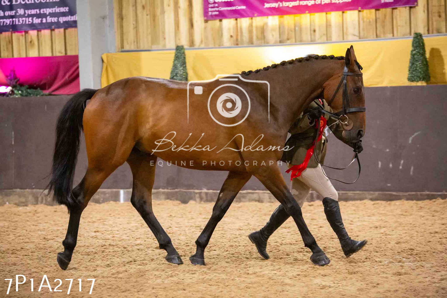 Home Farm Funshine Show 2024 - Inhand Showing 14th September