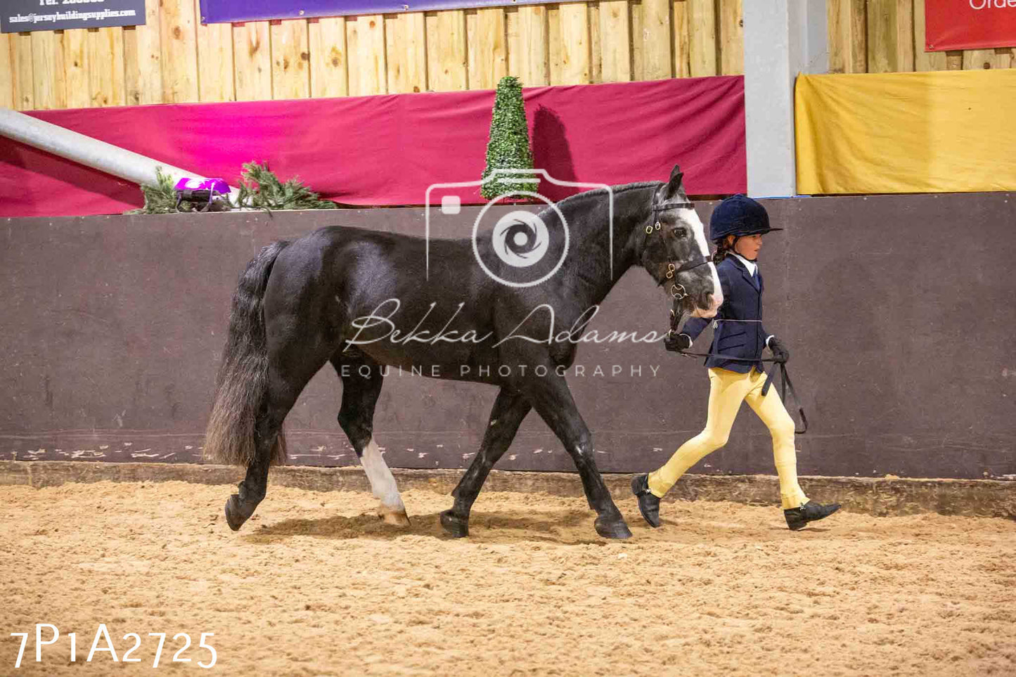 Home Farm Funshine Show 2024 - Inhand Showing 14th September