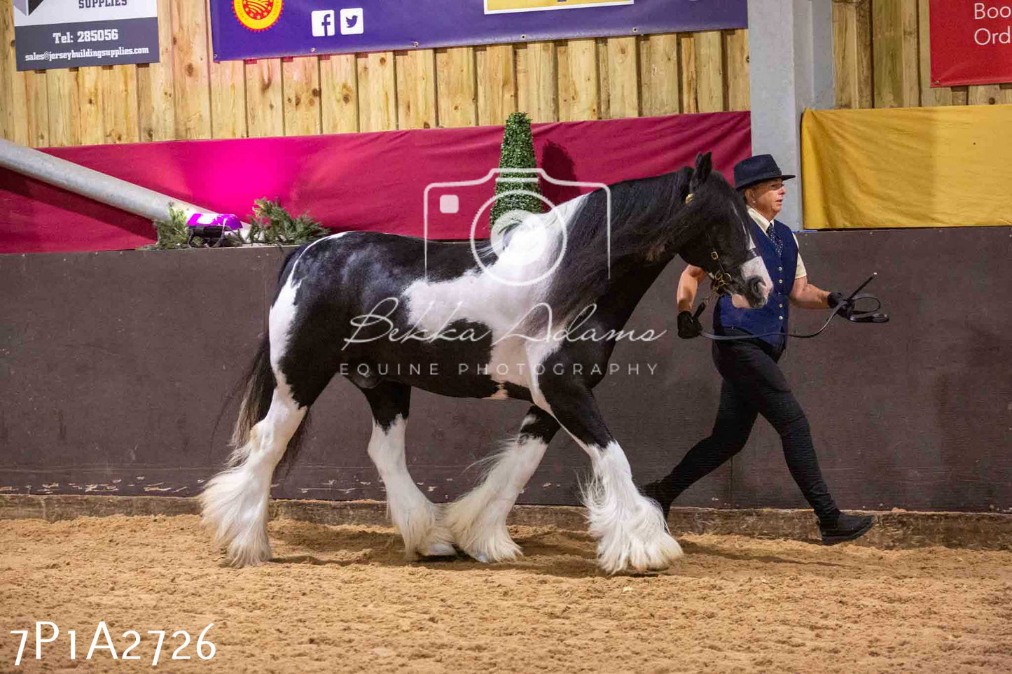 Home Farm Funshine Show 2024 - Inhand Showing 14th September