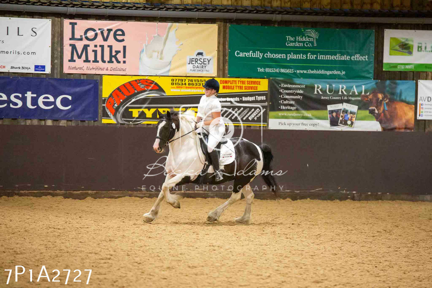 JHOYS 2023 - 6th September - Dressage