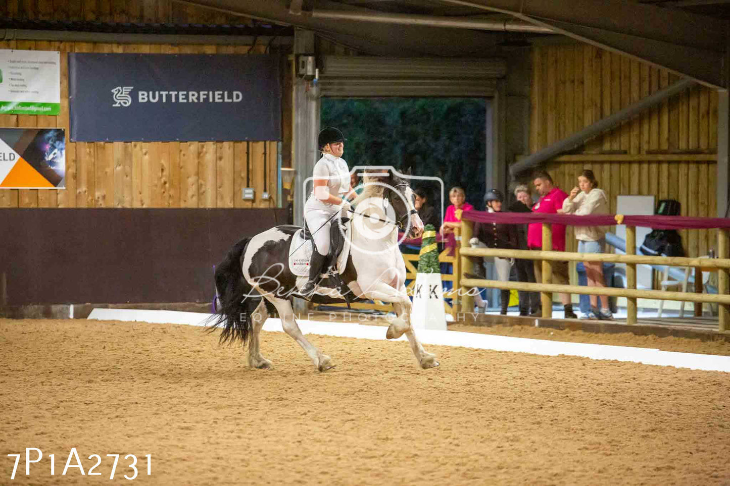 JHOYS 2023 - 6th September - Dressage