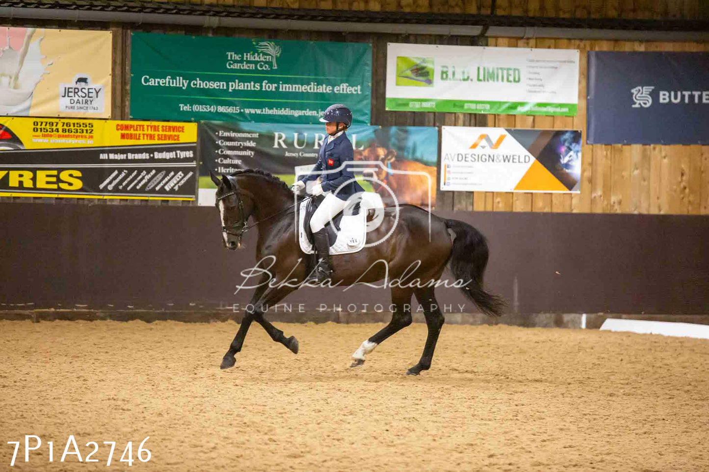 JHOYS 2023 - 6th September - Dressage