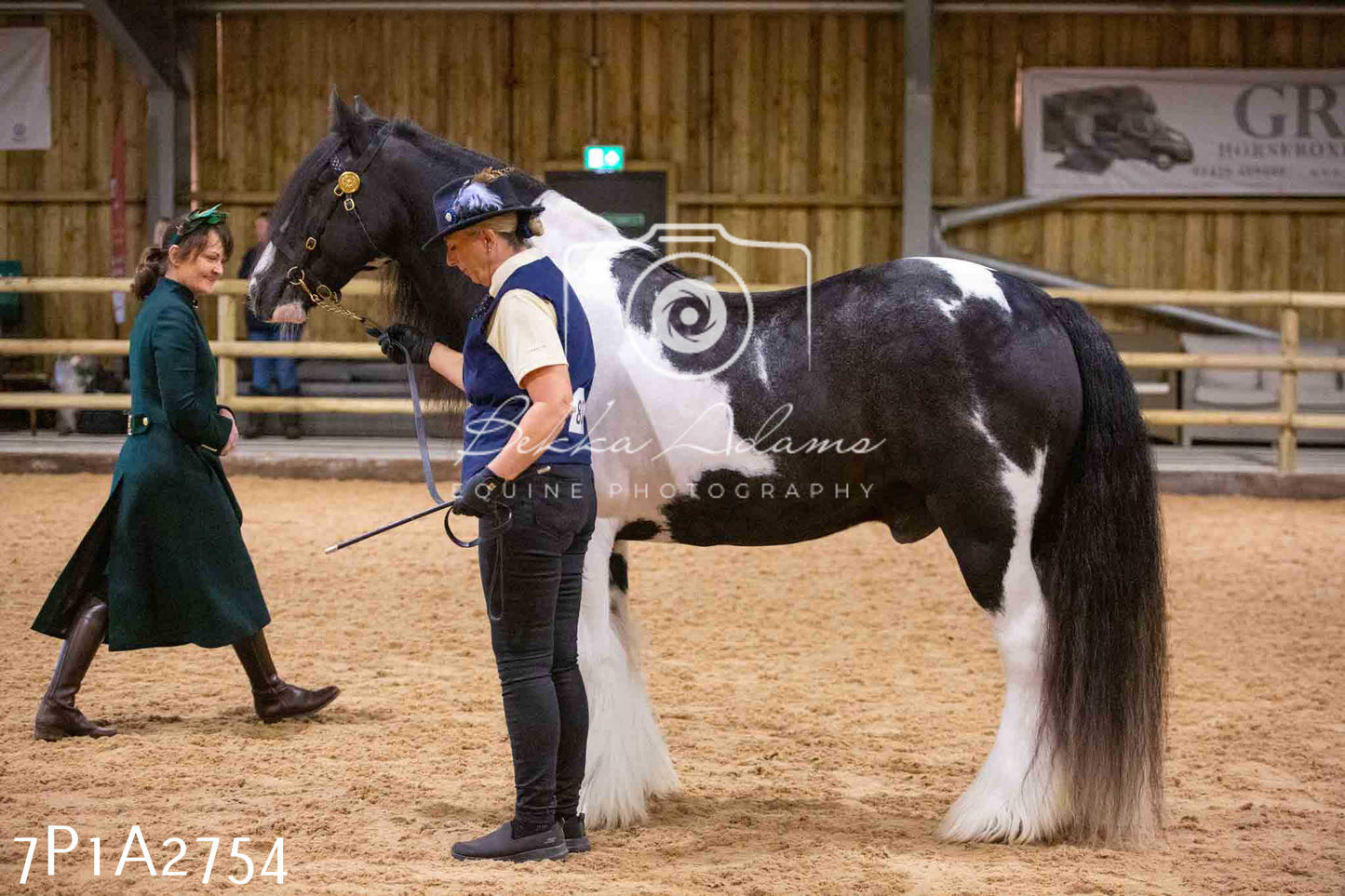 Home Farm Funshine Show 2024 - Inhand Showing 14th September