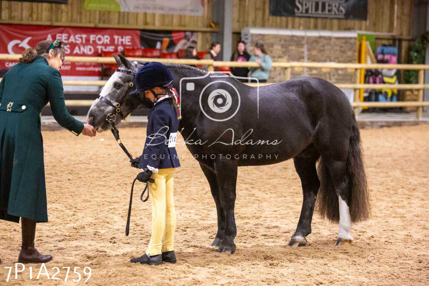 Home Farm Funshine Show 2024 - Inhand Showing 14th September