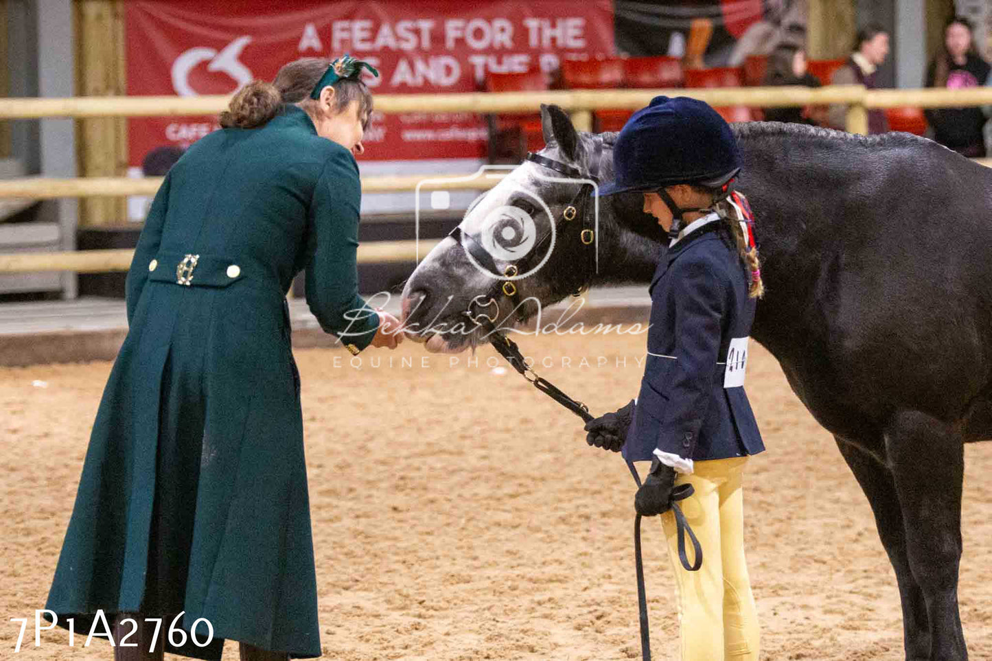 Home Farm Funshine Show 2024 - Inhand Showing 14th September