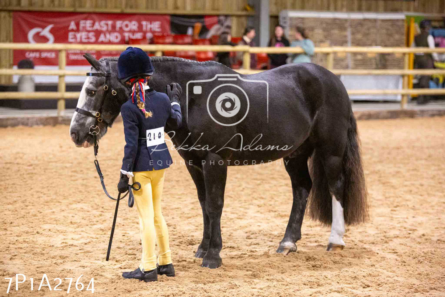 Home Farm Funshine Show 2024 - Inhand Showing 14th September