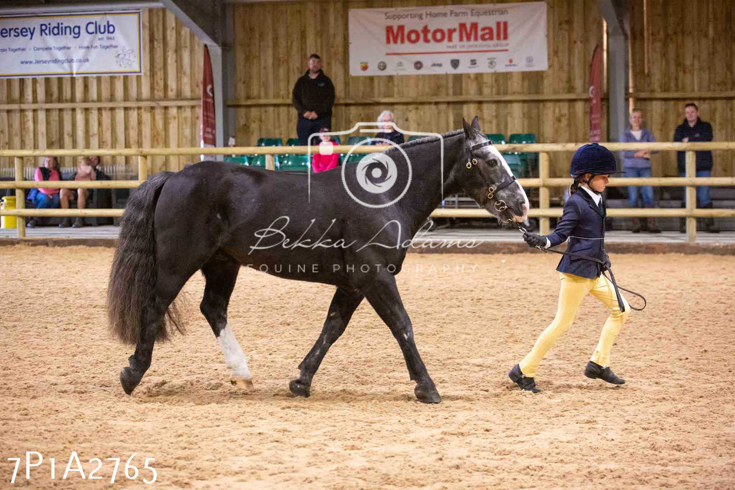 Home Farm Funshine Show 2024 - Inhand Showing 14th September