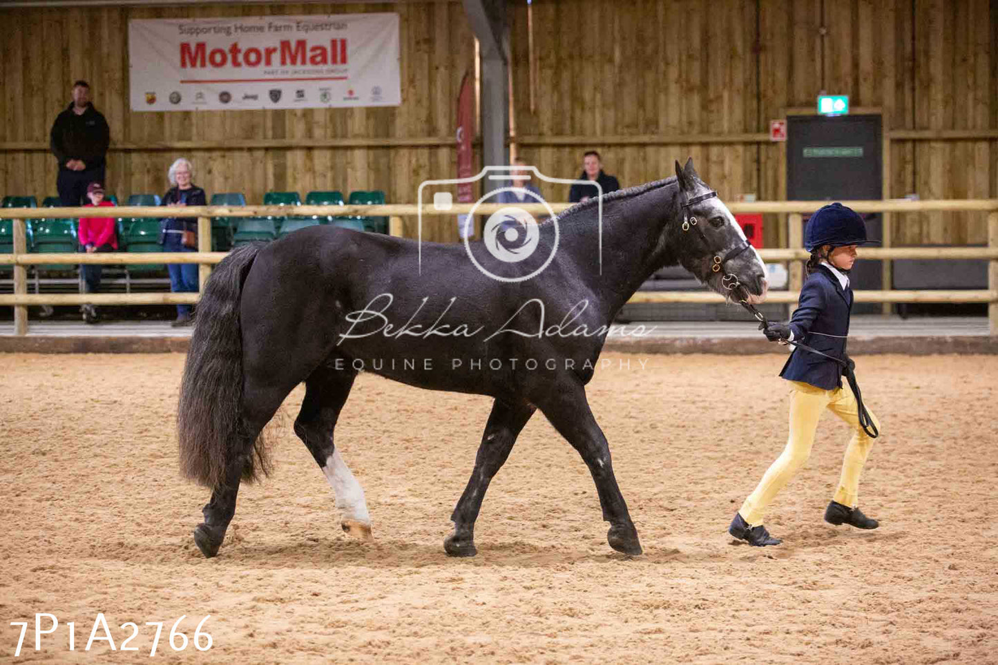 Home Farm Funshine Show 2024 - Inhand Showing 14th September