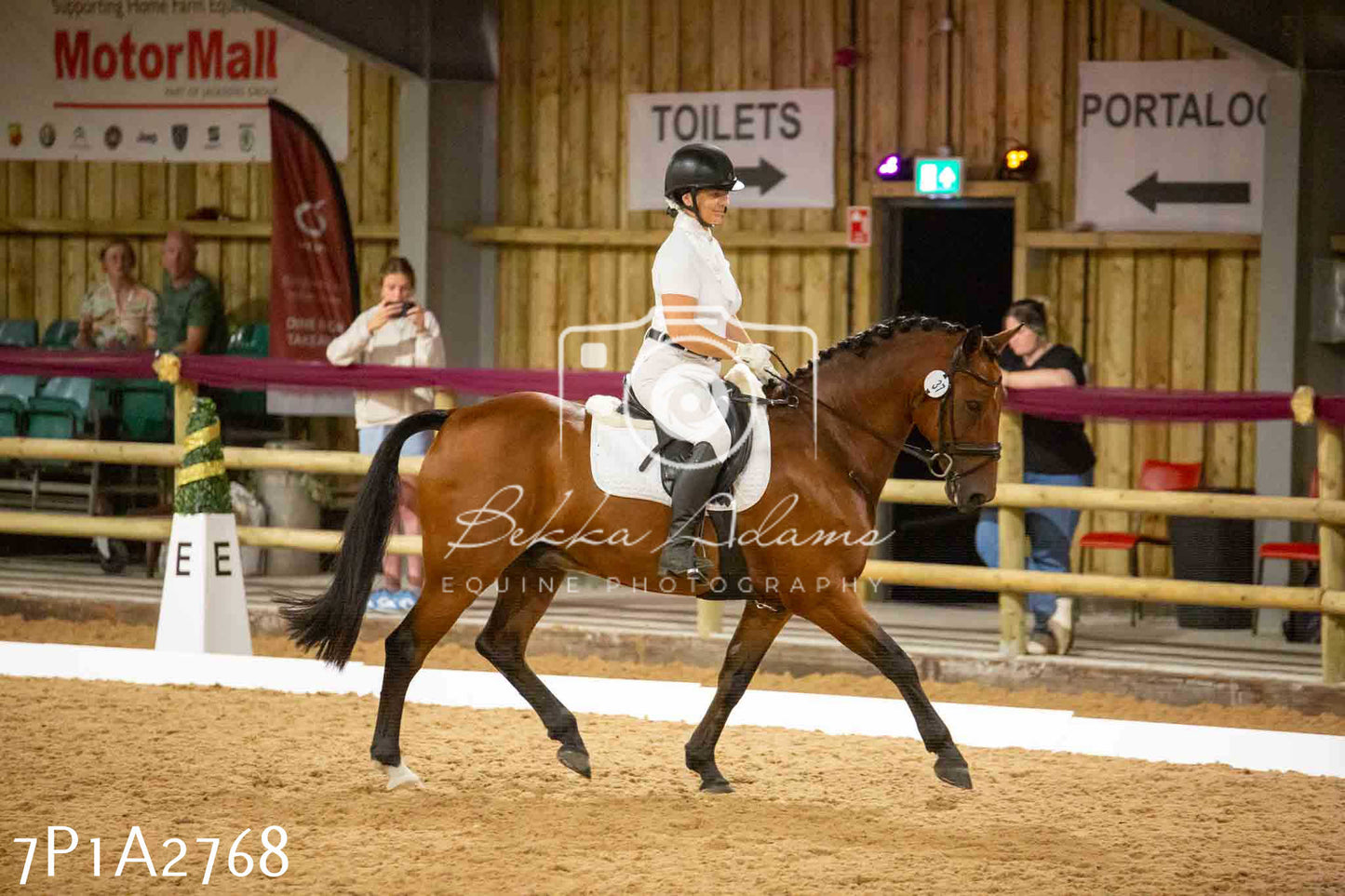 JHOYS 2023 - 6th September - Dressage