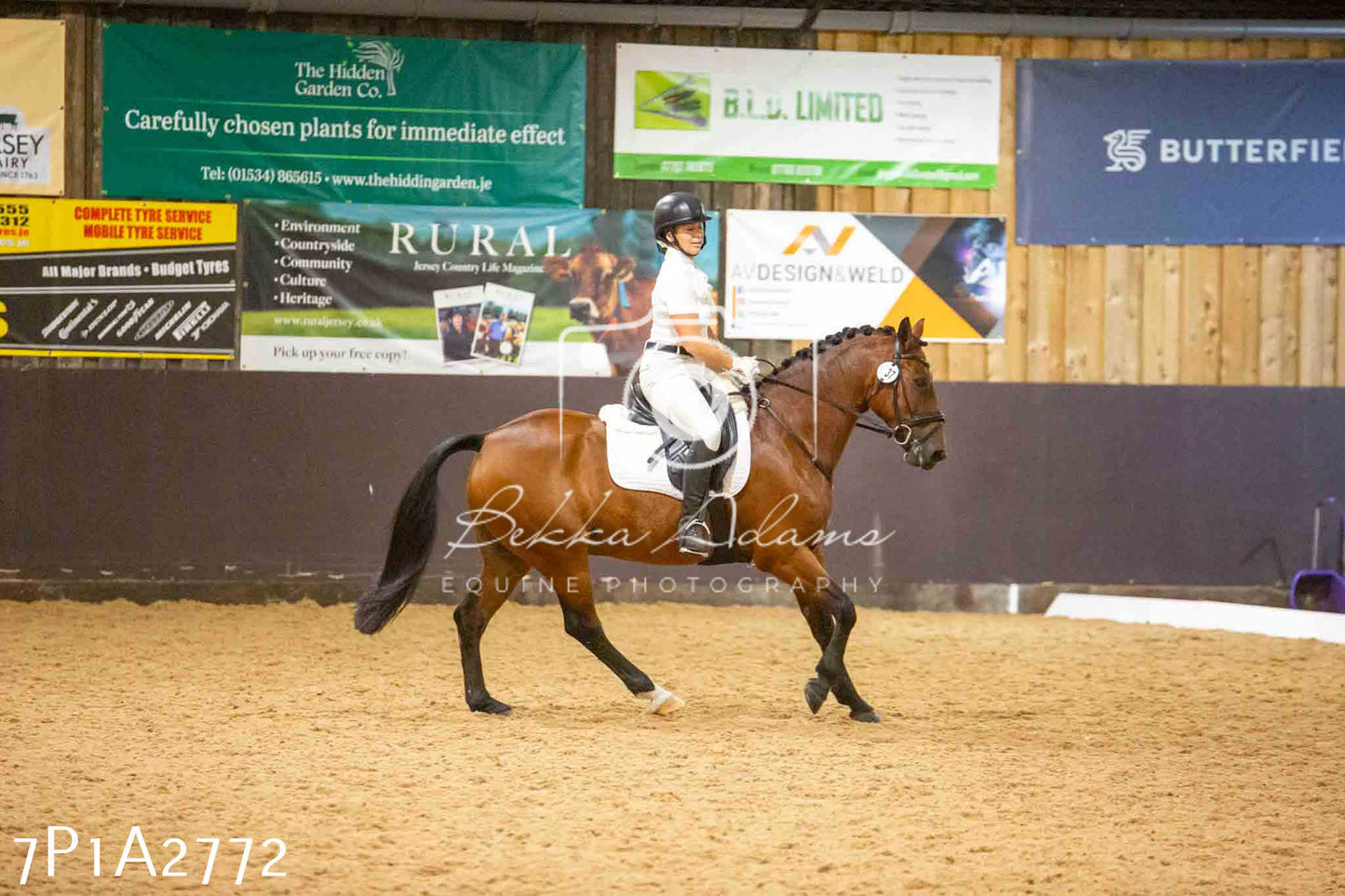JHOYS 2023 - 6th September - Dressage