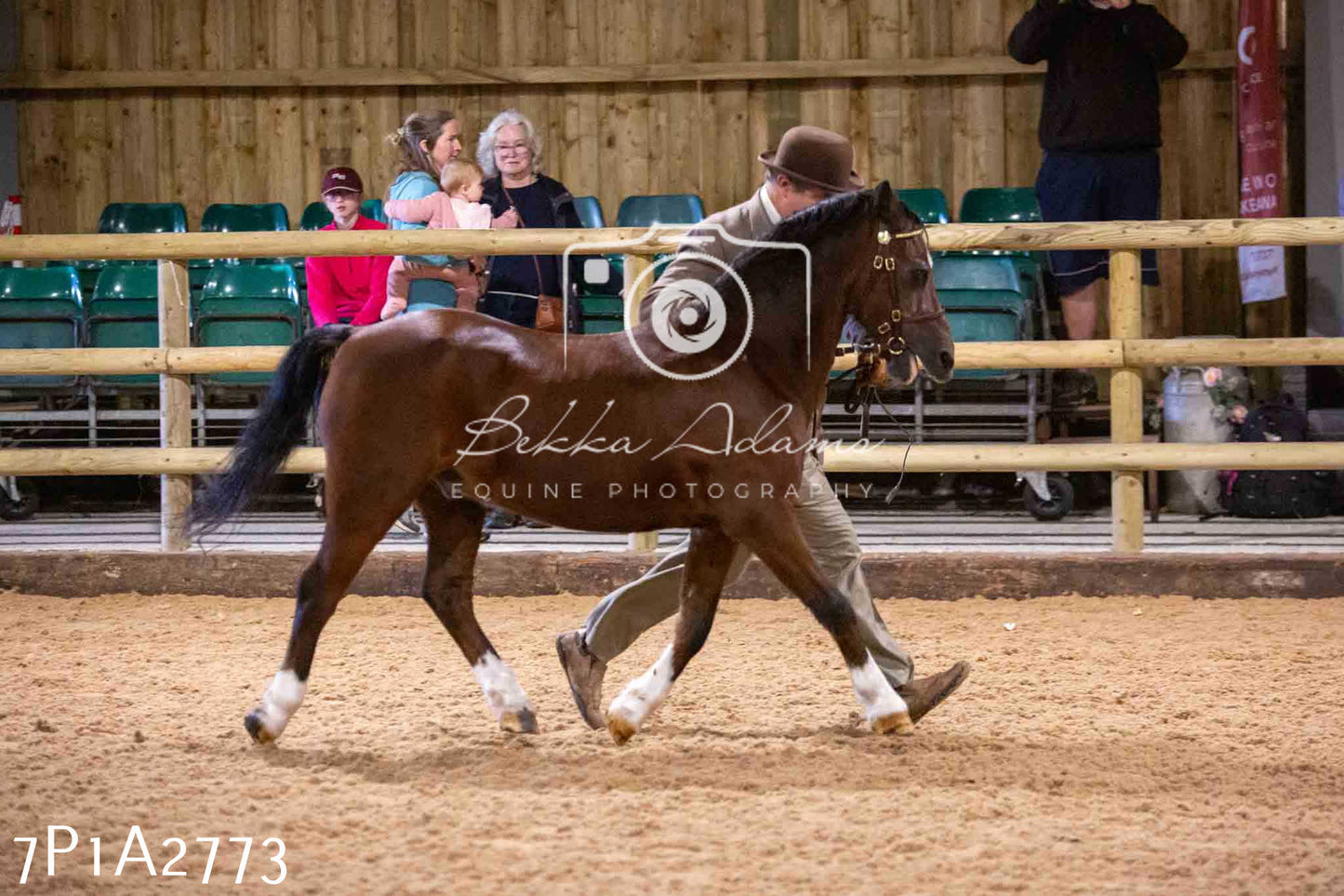 Home Farm Funshine Show 2024 - Inhand Showing 14th September