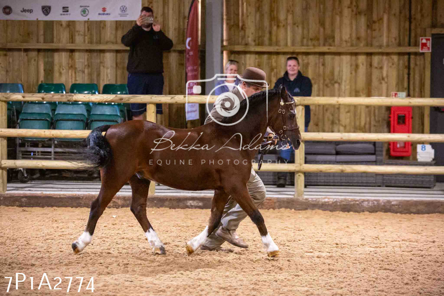 Home Farm Funshine Show 2024 - Inhand Showing 14th September