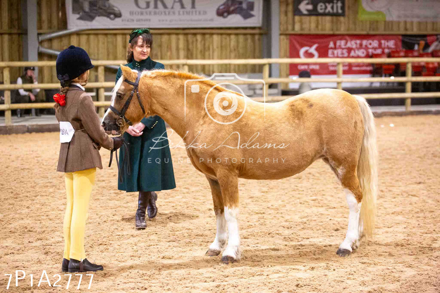 Home Farm Funshine Show 2024 - Inhand Showing 14th September