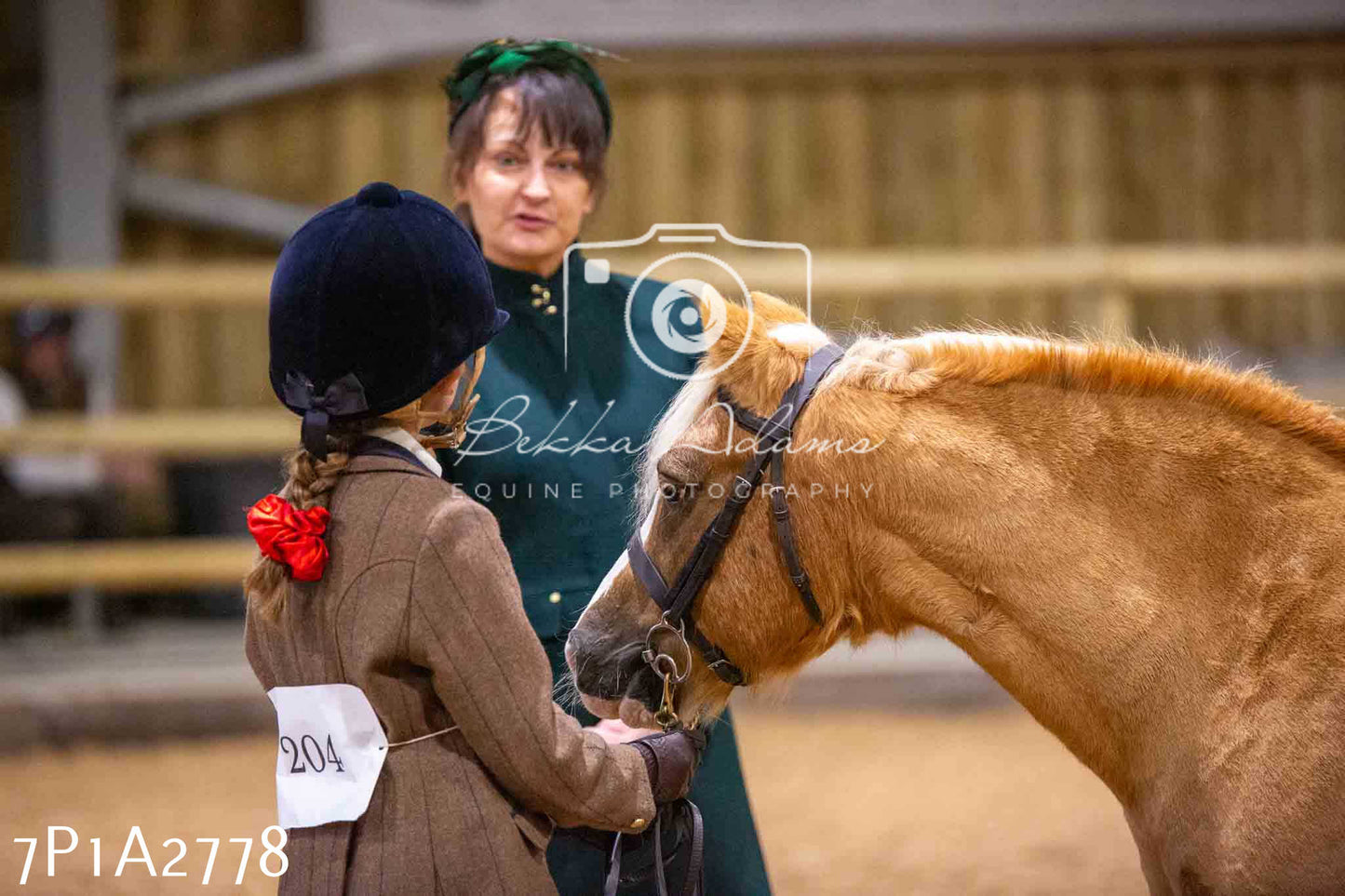 Home Farm Funshine Show 2024 - Inhand Showing 14th September