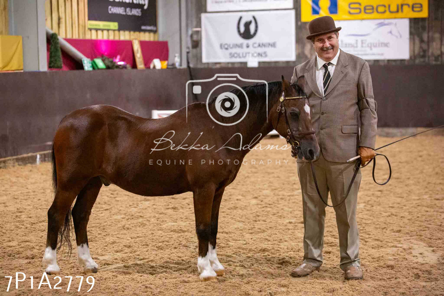 Home Farm Funshine Show 2024 - Inhand Showing 14th September