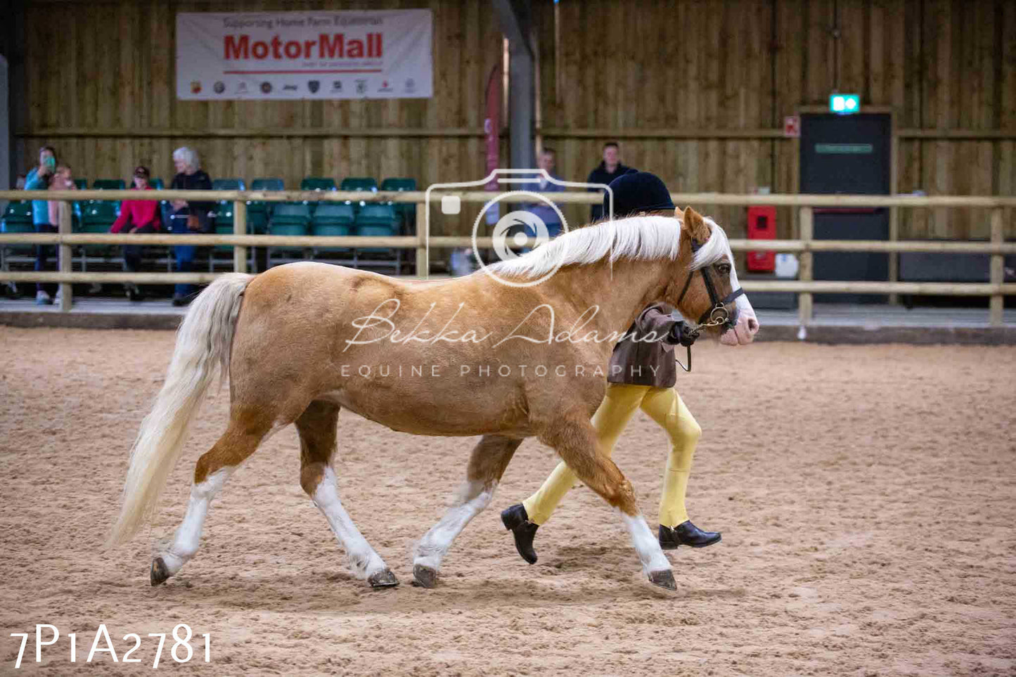 Home Farm Funshine Show 2024 - Inhand Showing 14th September