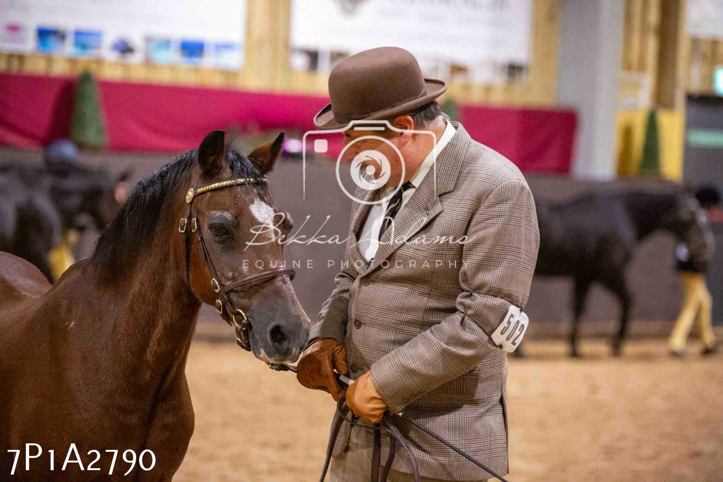 Home Farm Funshine Show 2024 - Inhand Showing 14th September
