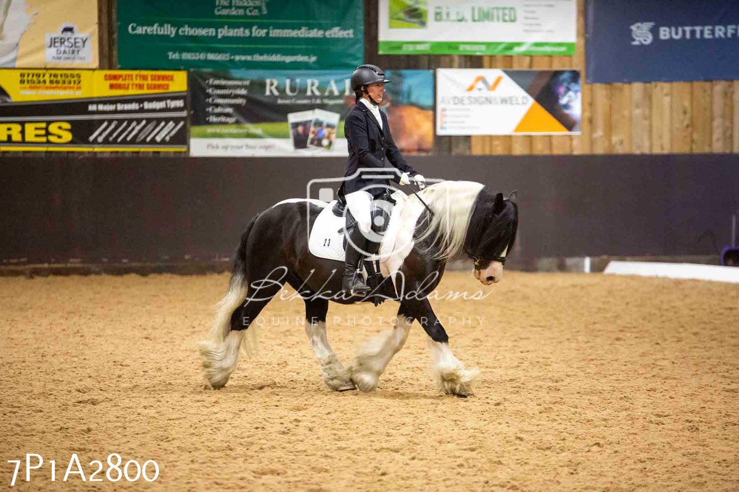JHOYS 2023 - 6th September - Dressage