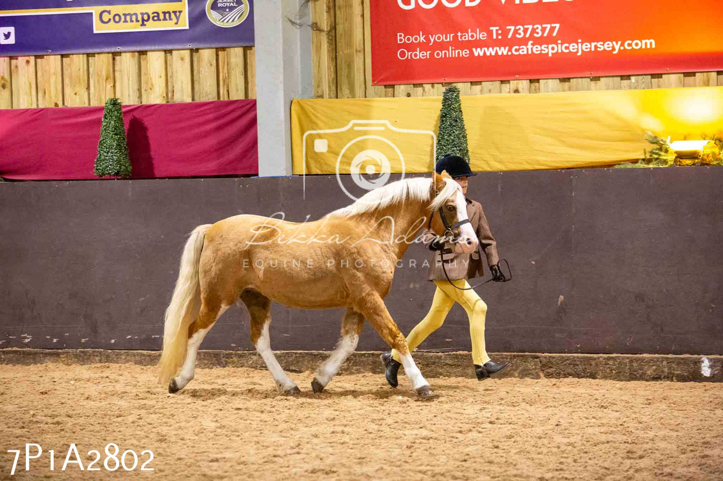 Home Farm Funshine Show 2024 - Inhand Showing 14th September