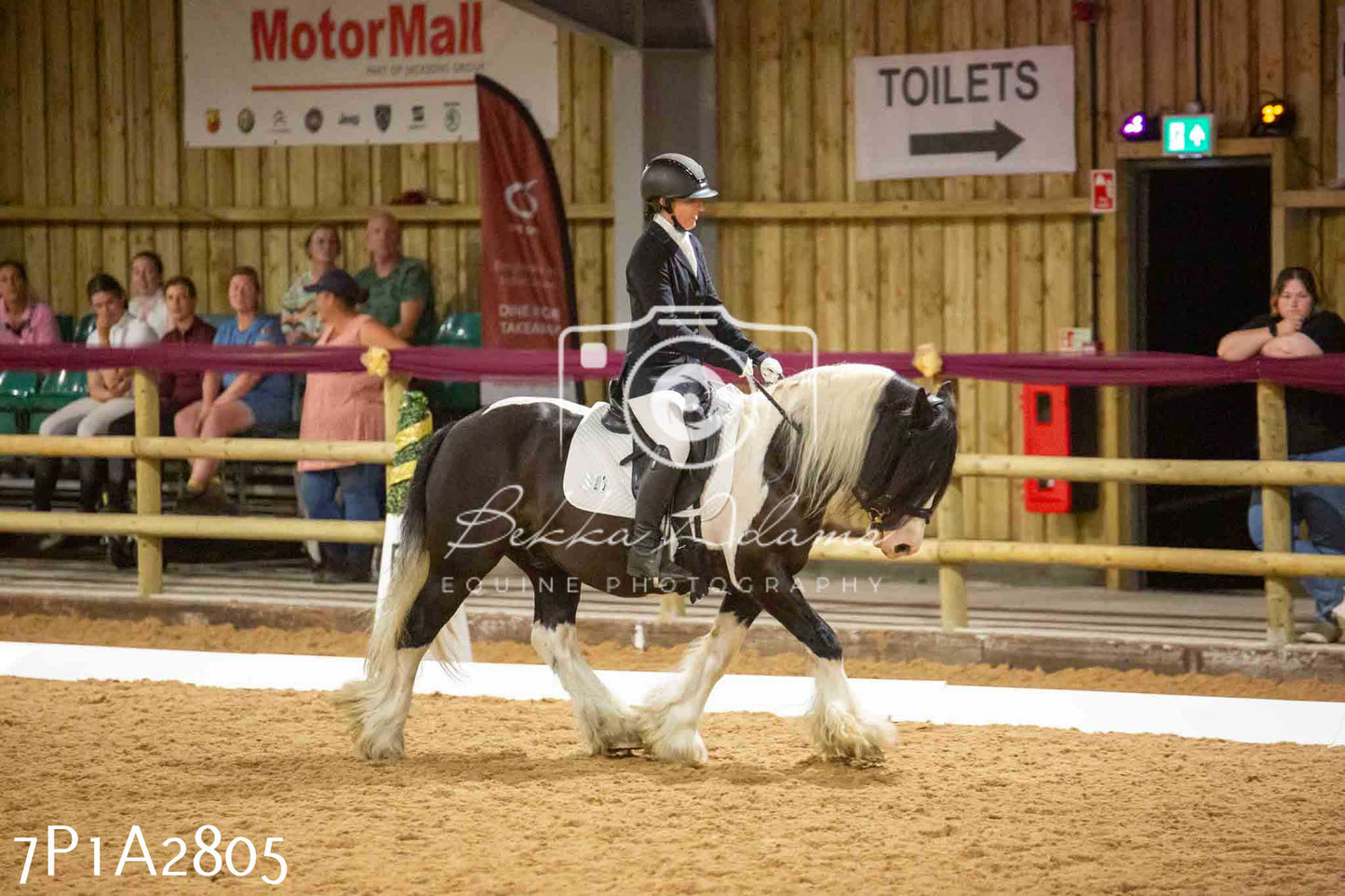 JHOYS 2023 - 6th September - Dressage
