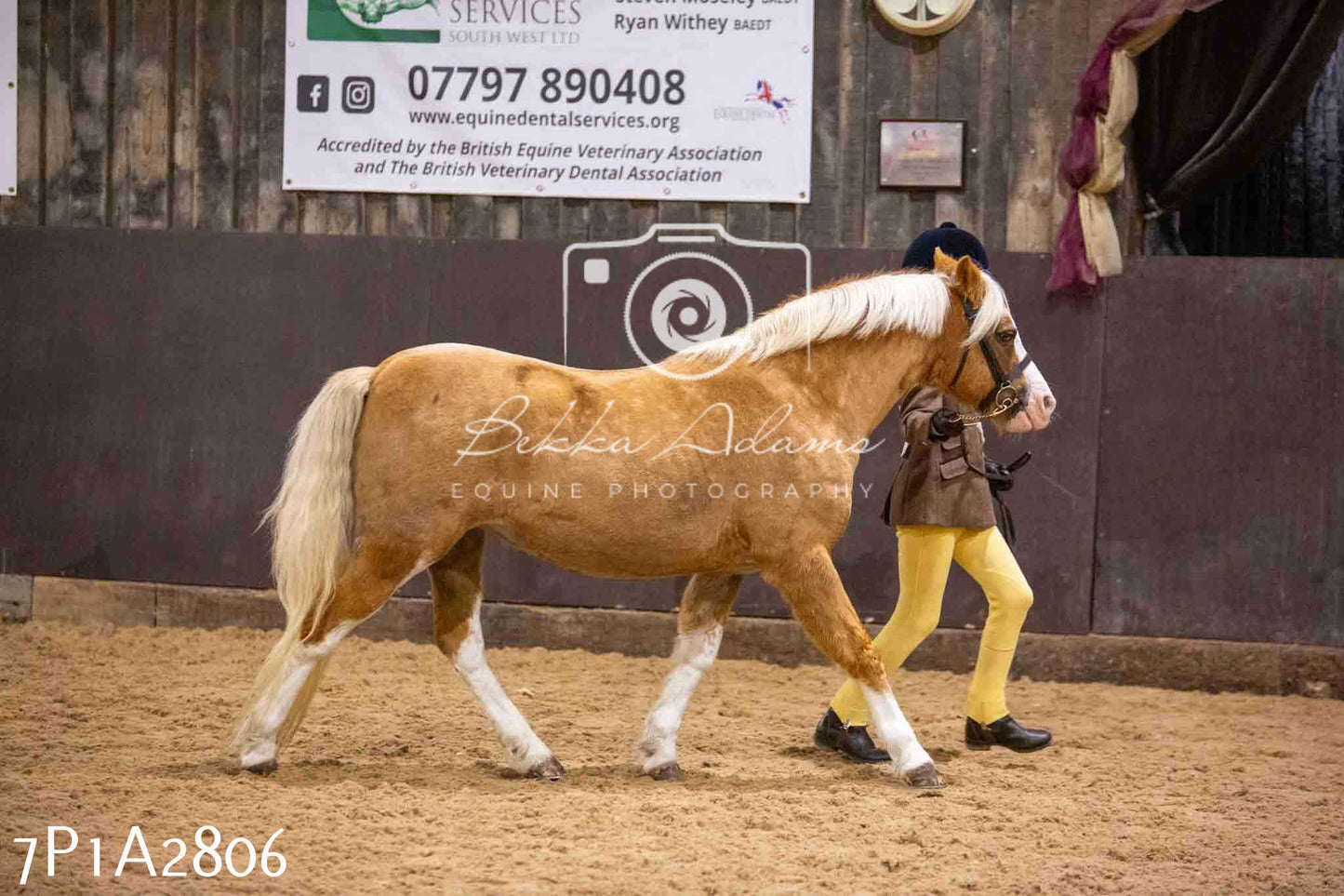 Home Farm Funshine Show 2024 - Inhand Showing 14th September