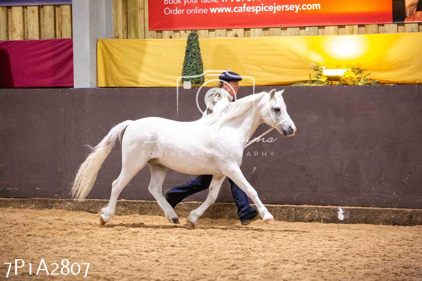 Home Farm Funshine Show 2024 - Inhand Showing 14th September