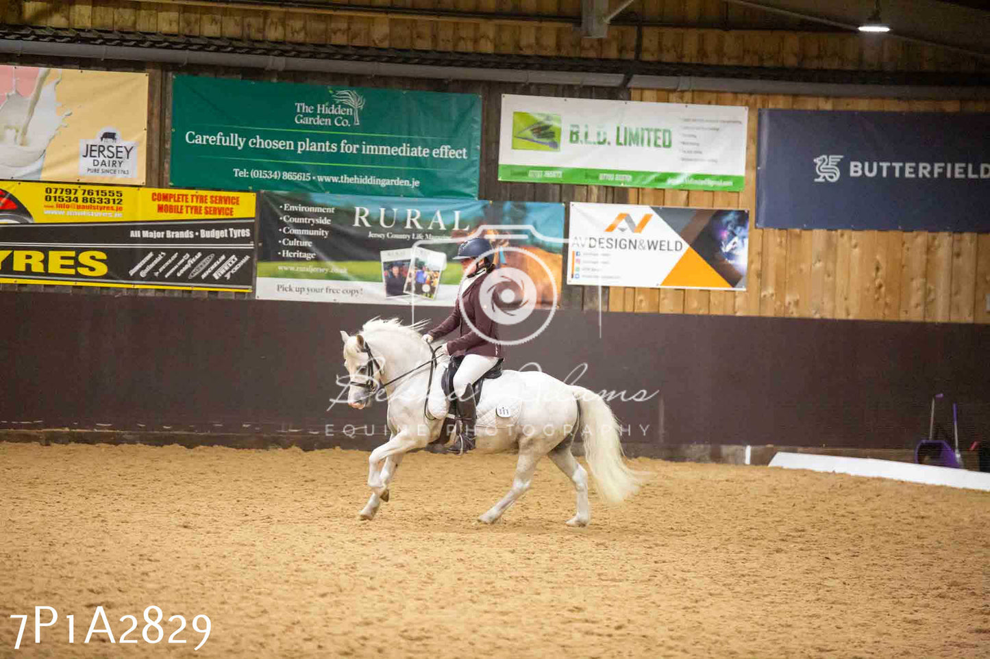 JHOYS 2023 - 6th September - Dressage