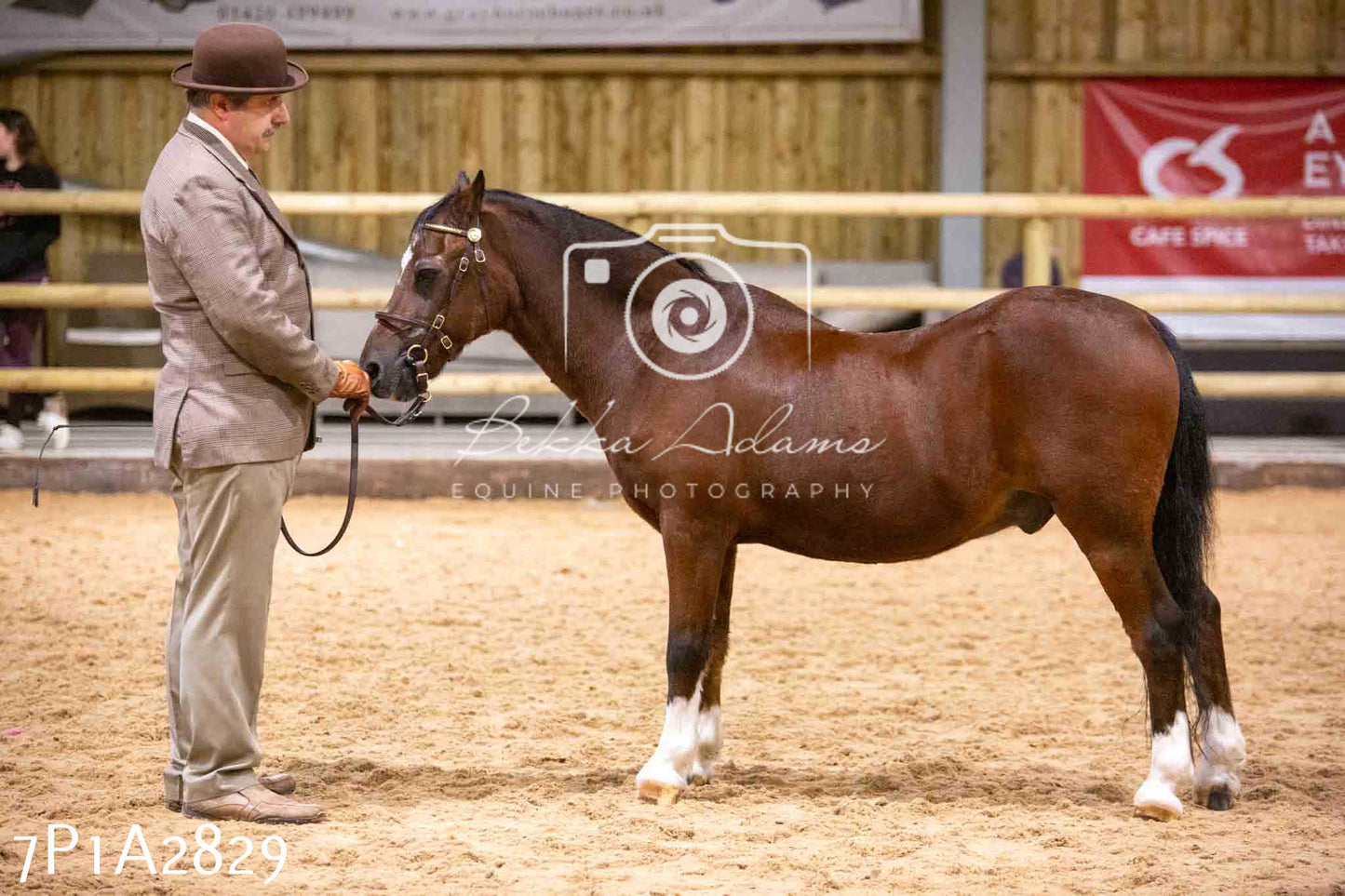 Home Farm Funshine Show 2024 - Inhand Showing 14th September
