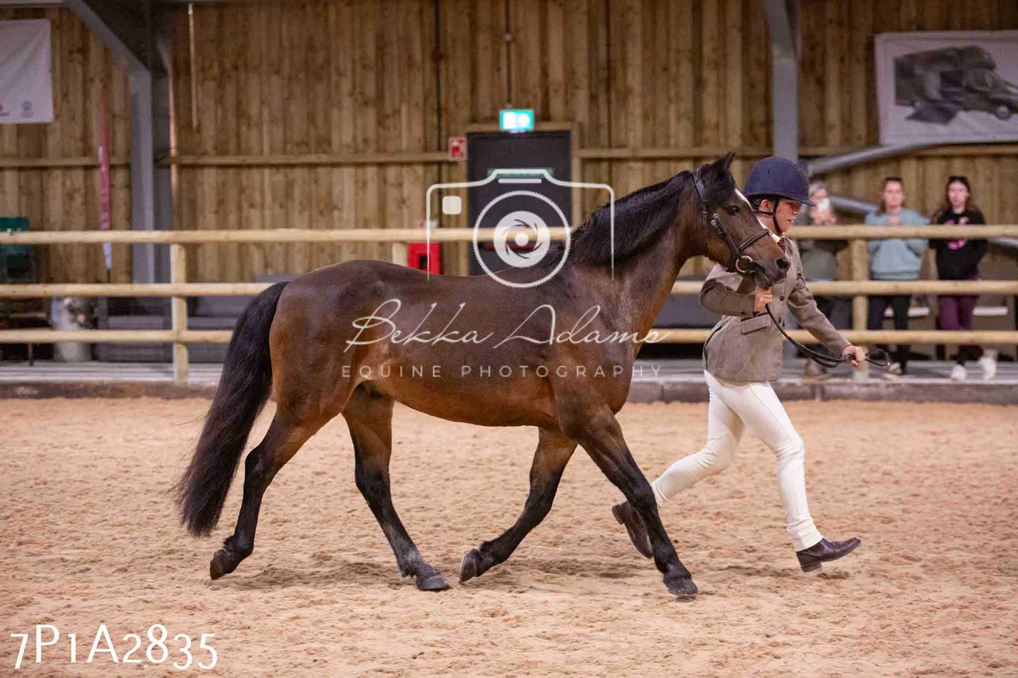 Home Farm Funshine Show 2024 - Inhand Showing 14th September