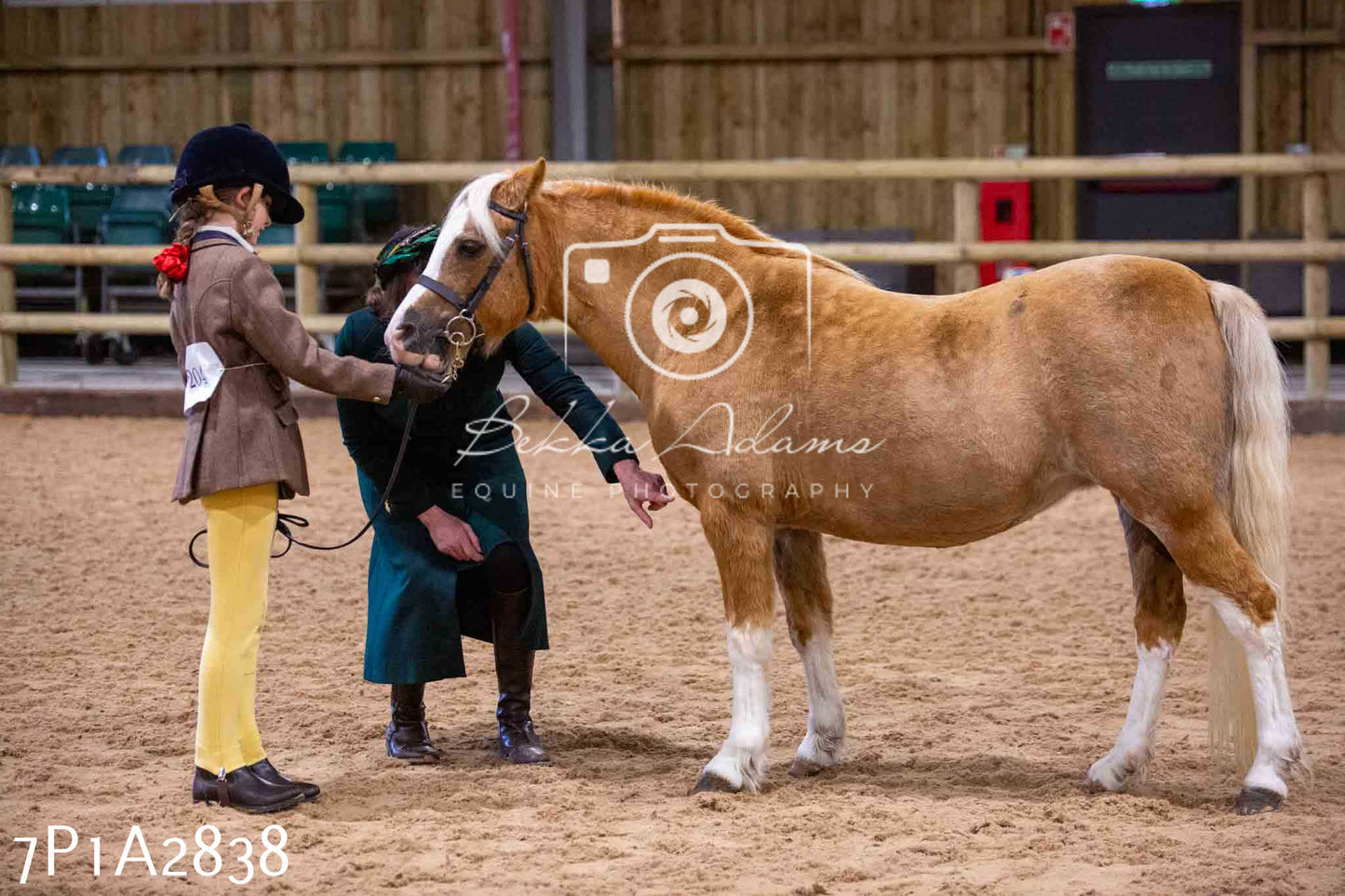 Home Farm Funshine Show 2024 - Inhand Showing 14th September