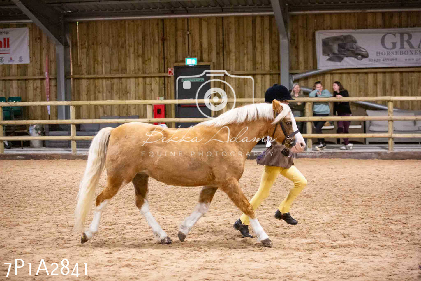 Home Farm Funshine Show 2024 - Inhand Showing 14th September