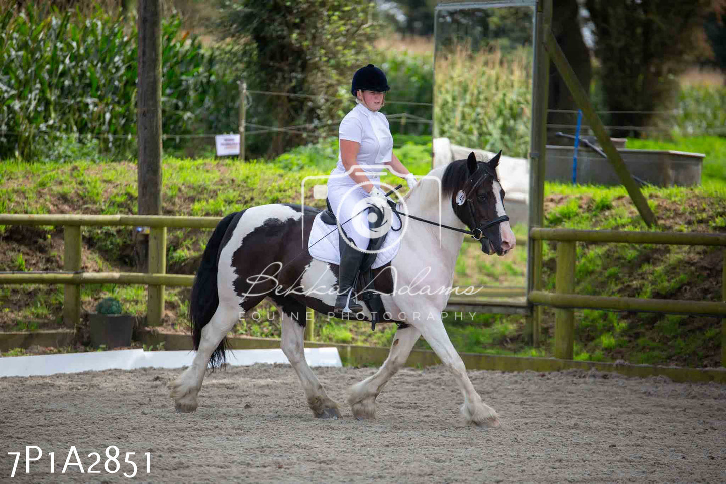 JHOYS 2023 - 7th Septemeber - Dressage
