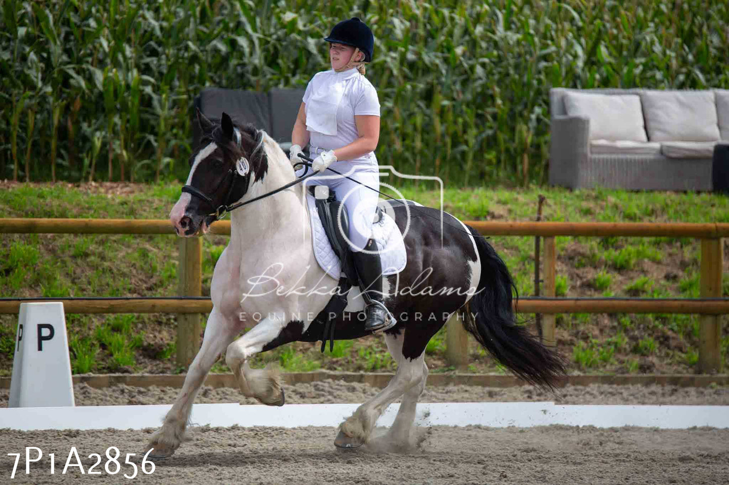 JHOYS 2023 - 7th Septemeber - Dressage