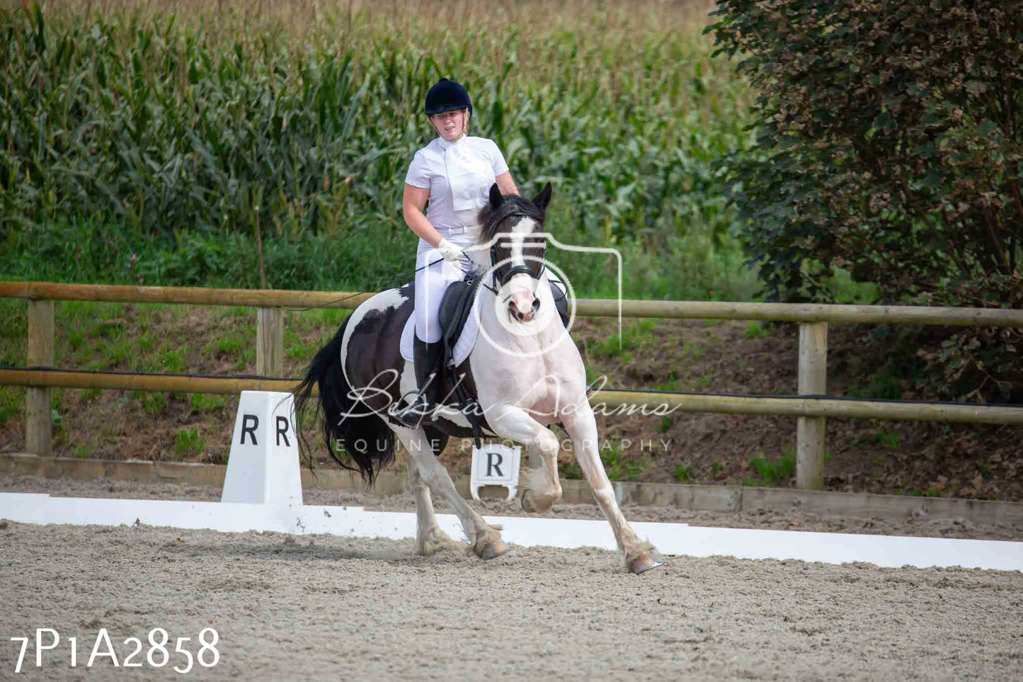 JHOYS 2023 - 7th Septemeber - Dressage