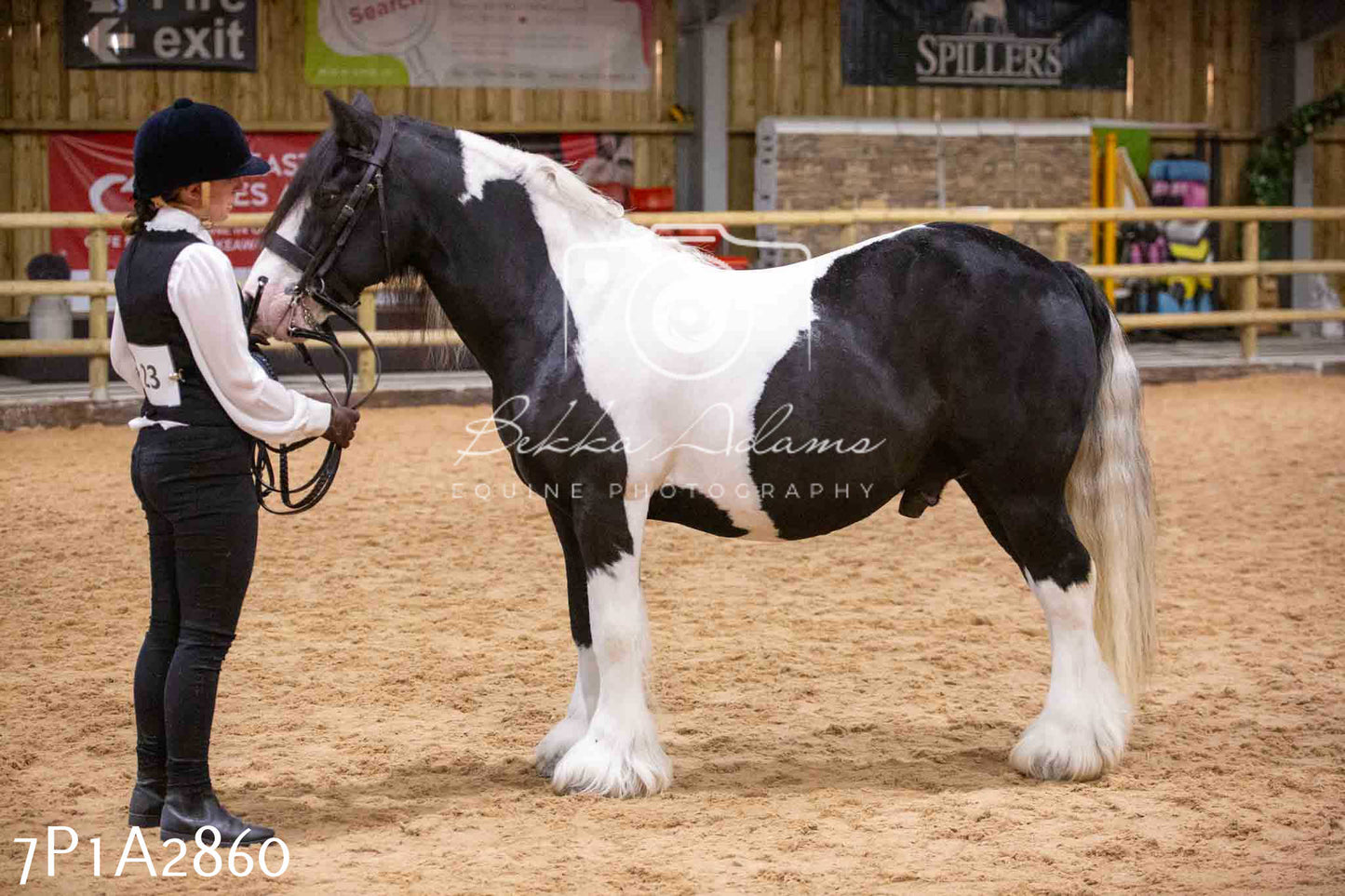 Home Farm Funshine Show 2024 - Inhand Showing 14th September