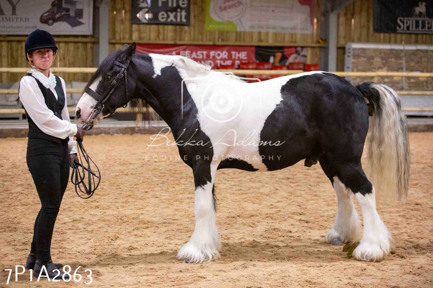 Home Farm Funshine Show 2024 - Inhand Showing 14th September
