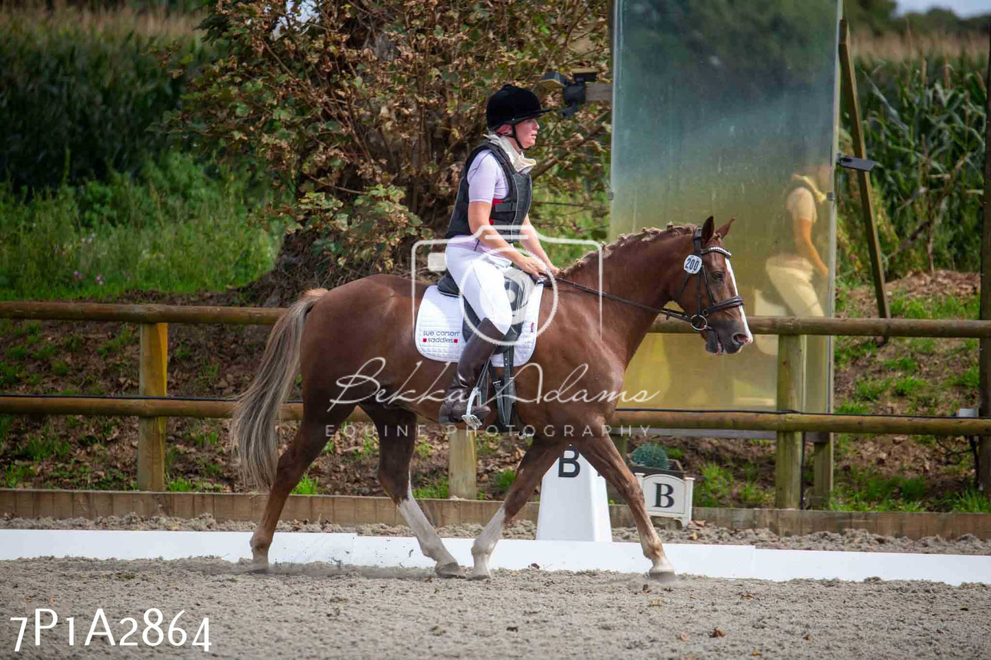 JHOYS 2023 - 7th Septemeber - Dressage