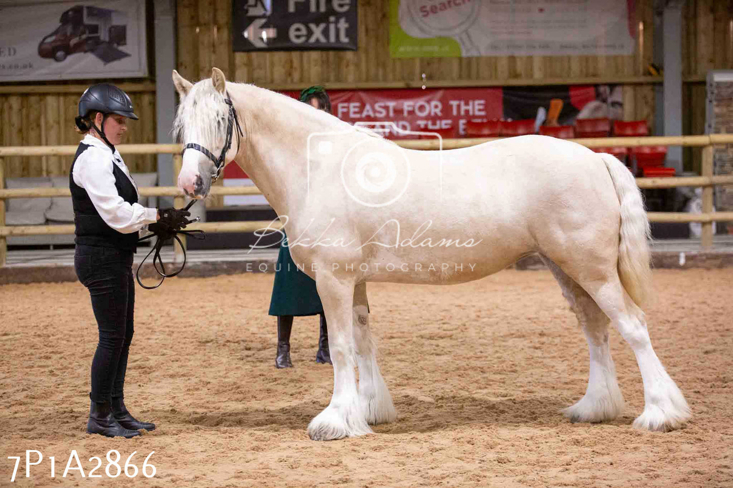 Home Farm Funshine Show 2024 - Inhand Showing 14th September