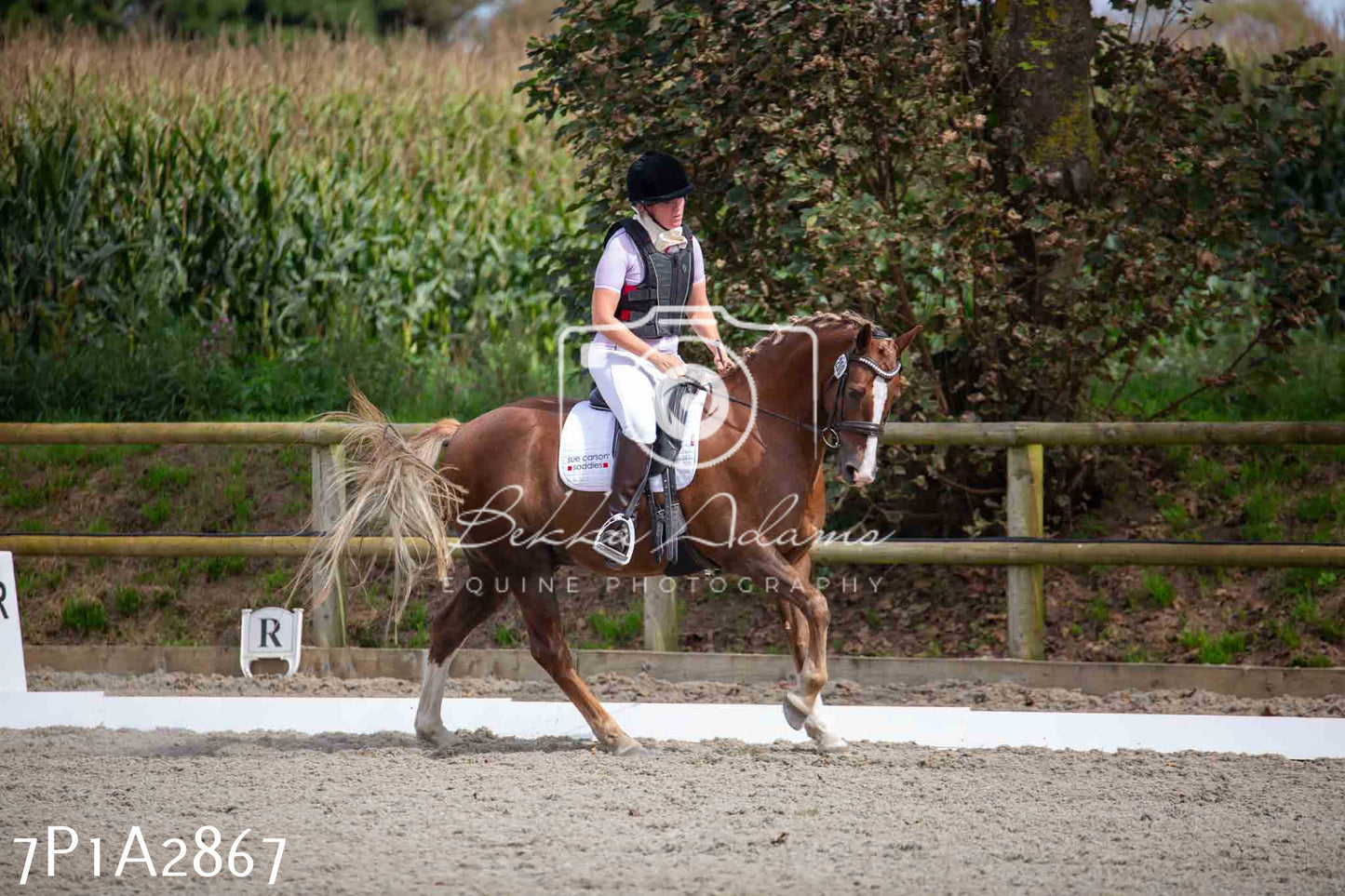 JHOYS 2023 - 7th Septemeber - Dressage