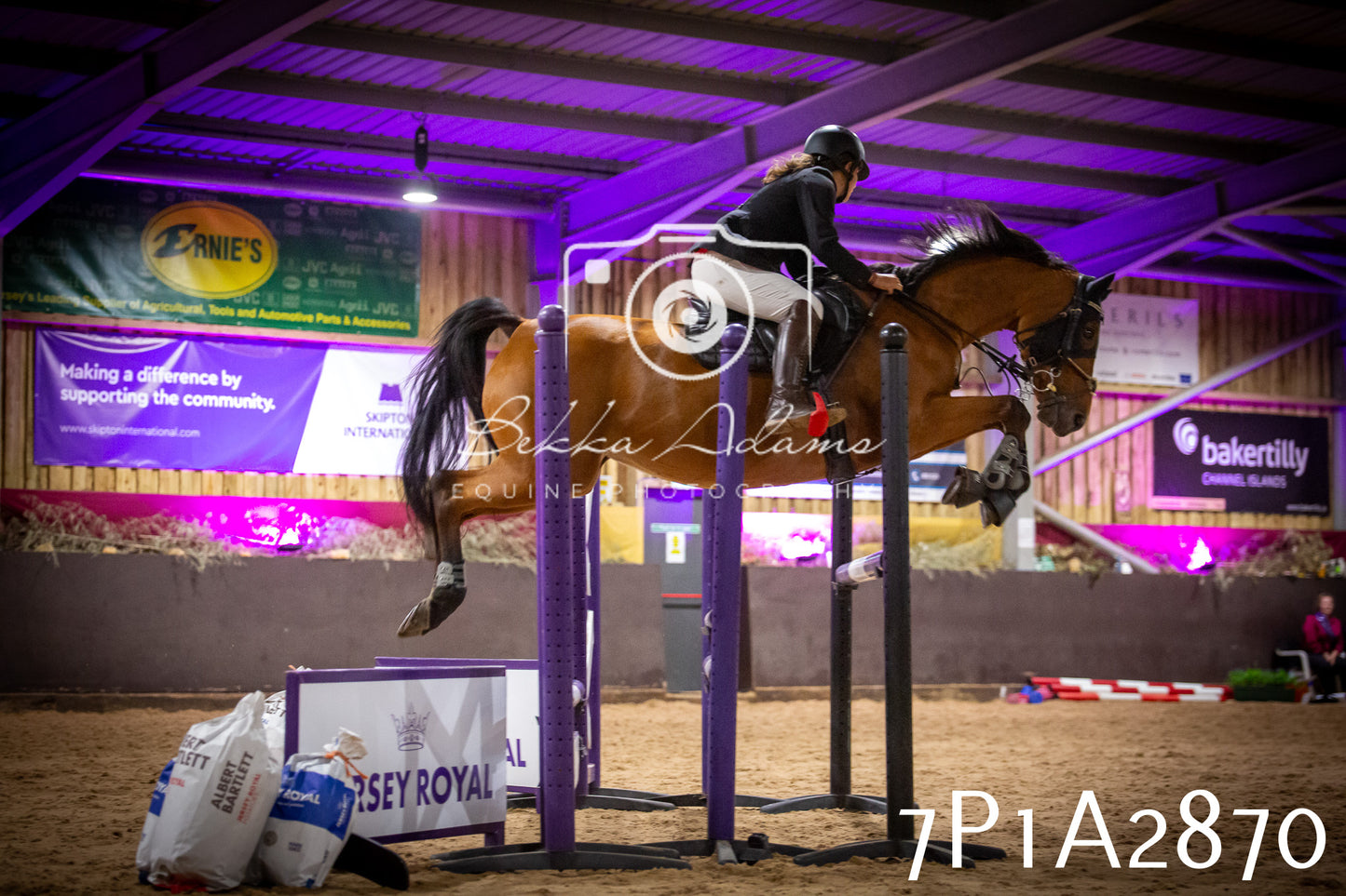 JHOYS 2025 - Show Jumping - 20th September - Puissance