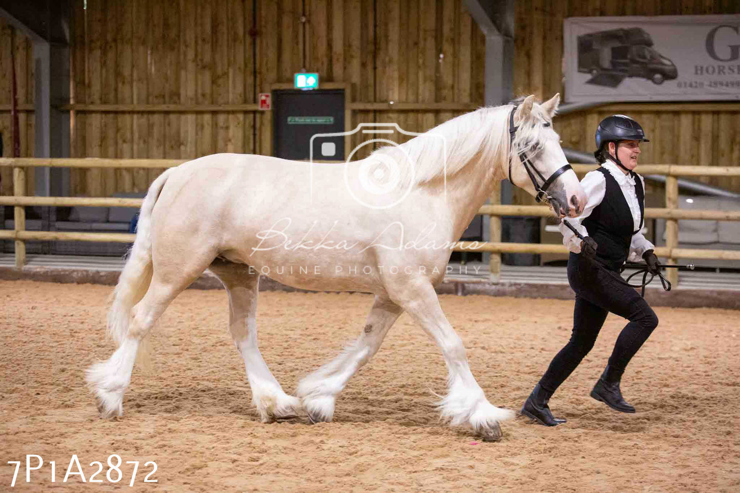 Home Farm Funshine Show 2024 - Inhand Showing 14th September