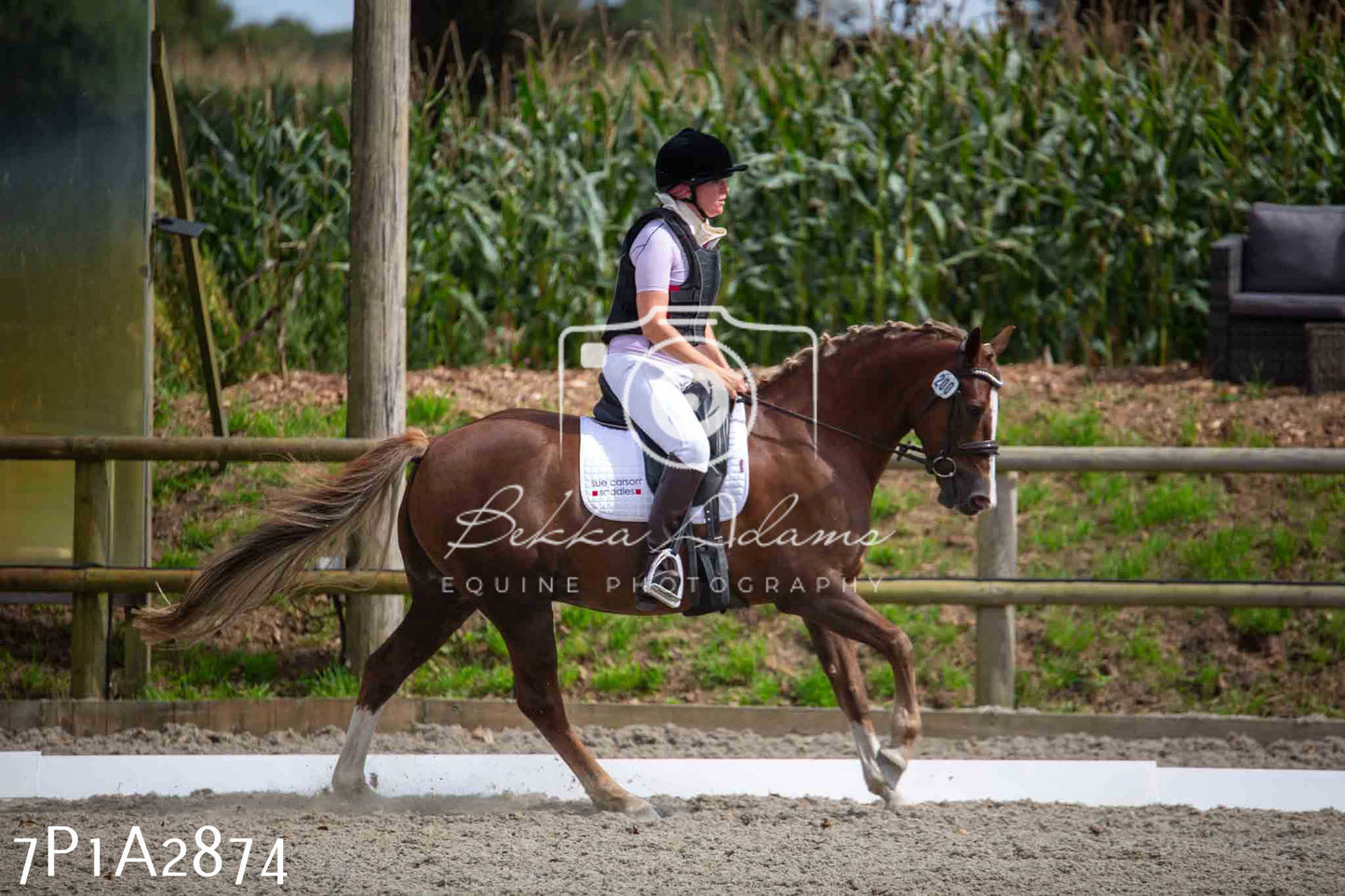 JHOYS 2023 - 7th Septemeber - Dressage
