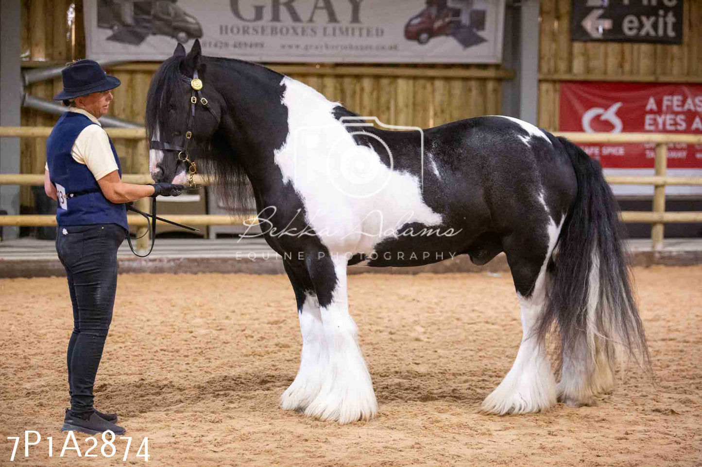 Home Farm Funshine Show 2024 - Inhand Showing 14th September